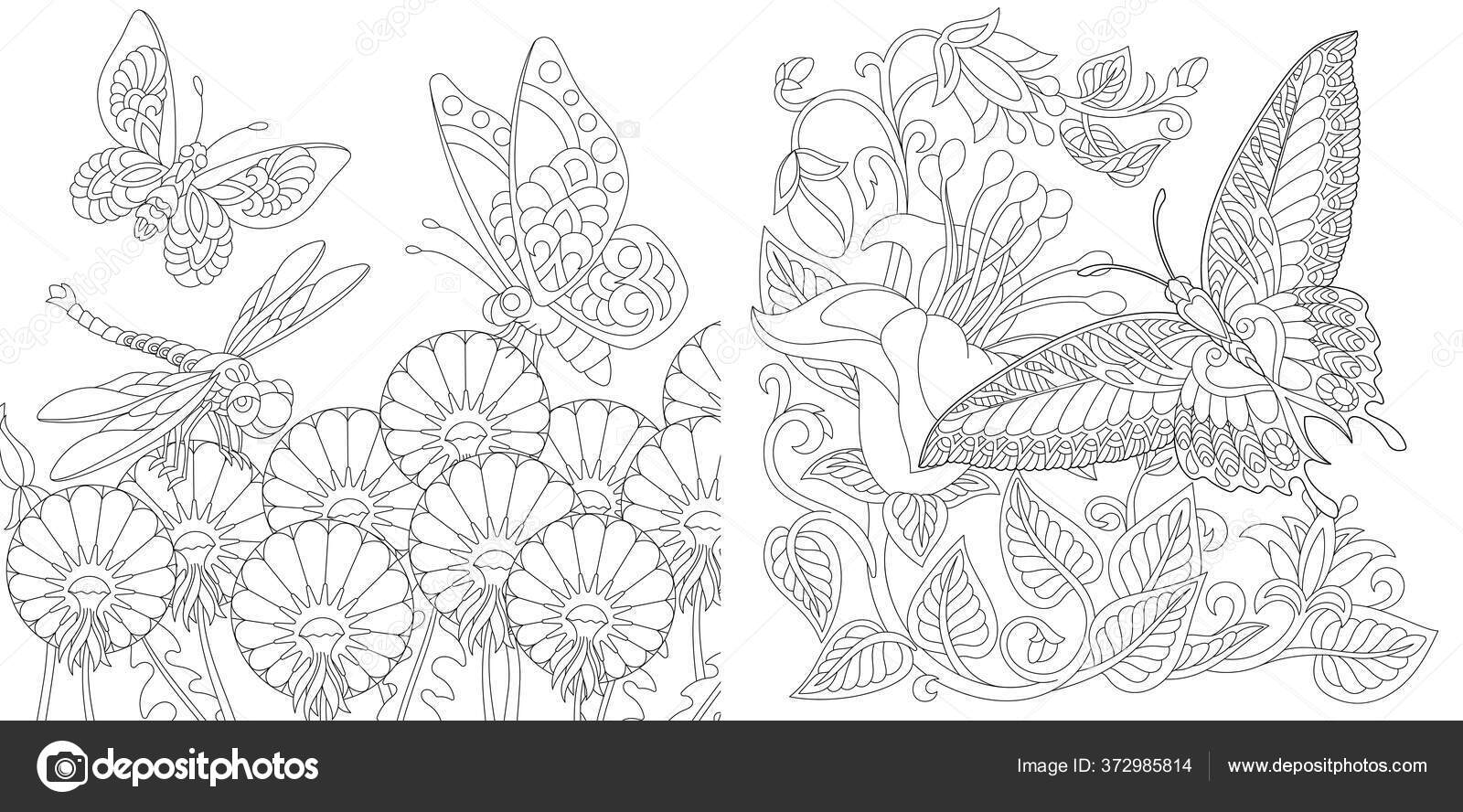 Coloring book vintage butterflies flowers line art design adult kids stock vector by sybirko