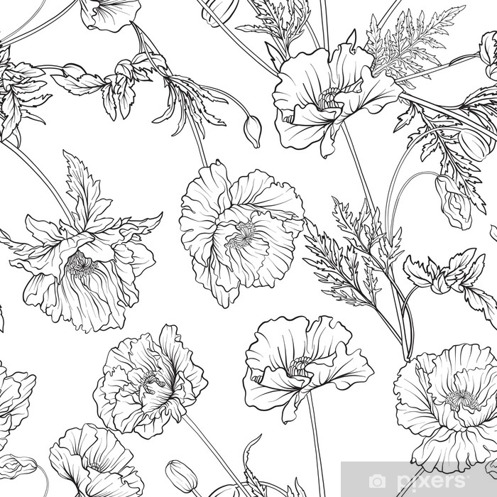 Poster seamless pattern with poppy flowers in botanical vintage style outline hand drawing loring page for adult loring book stock line vector illustration