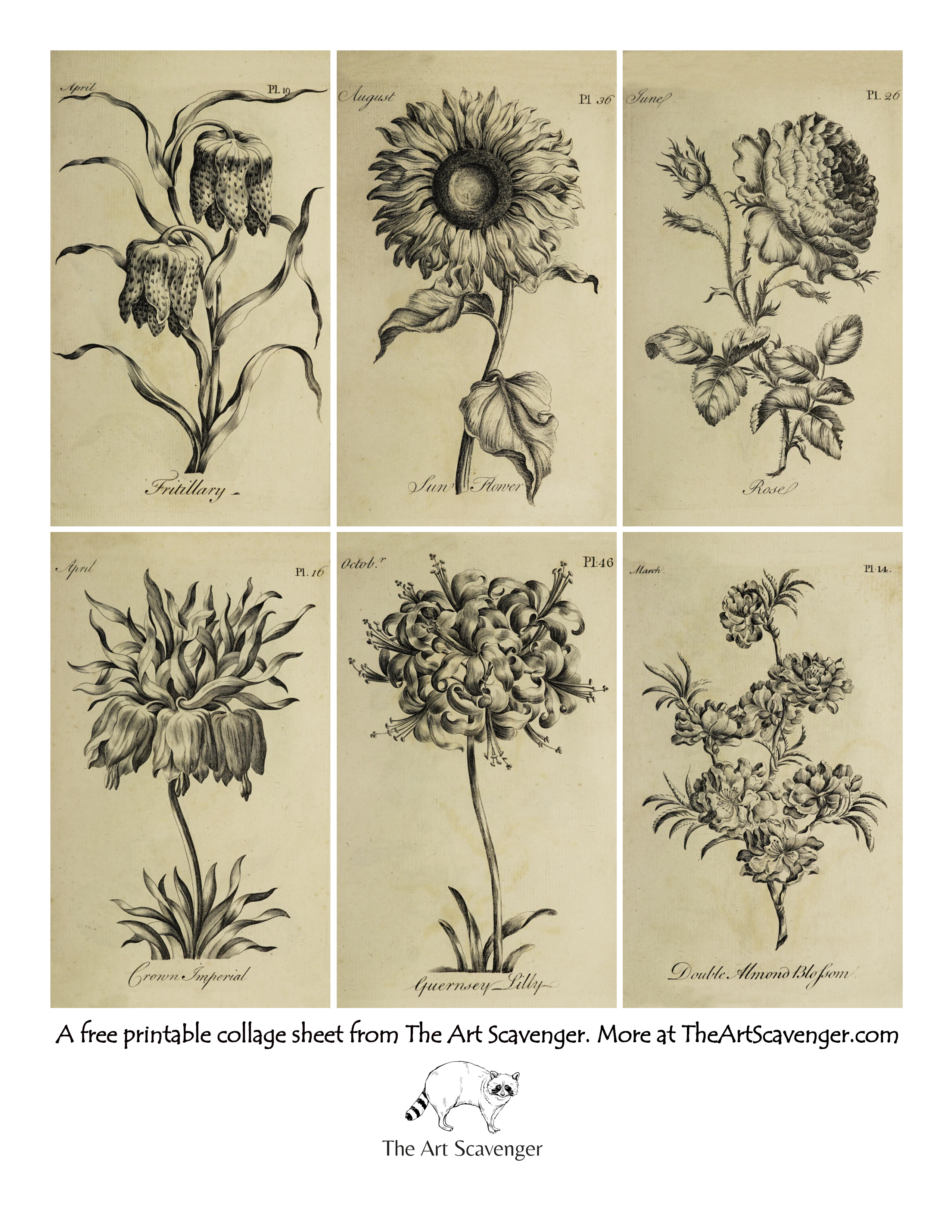 Free vintage adult coloring book collage sheet printables â the art scavenger