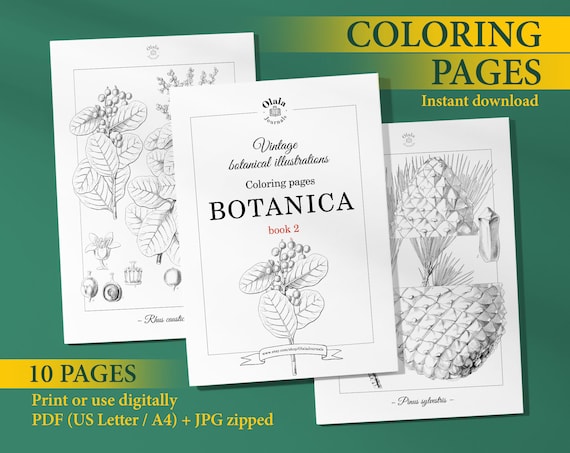 Botanica vintage coloring pages book coloring pages for adults kids floral illustrations flower color page printable download