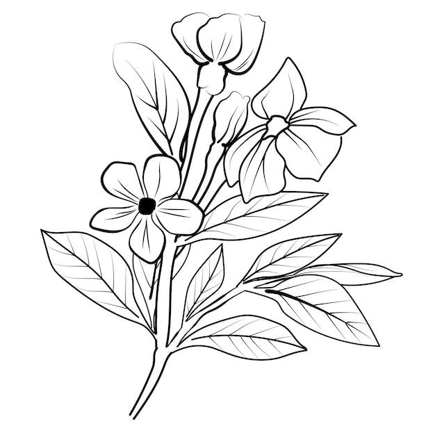 Premium vector vintage floral vector illustration detailed flower coloring pages printable periwinkle tattoo and