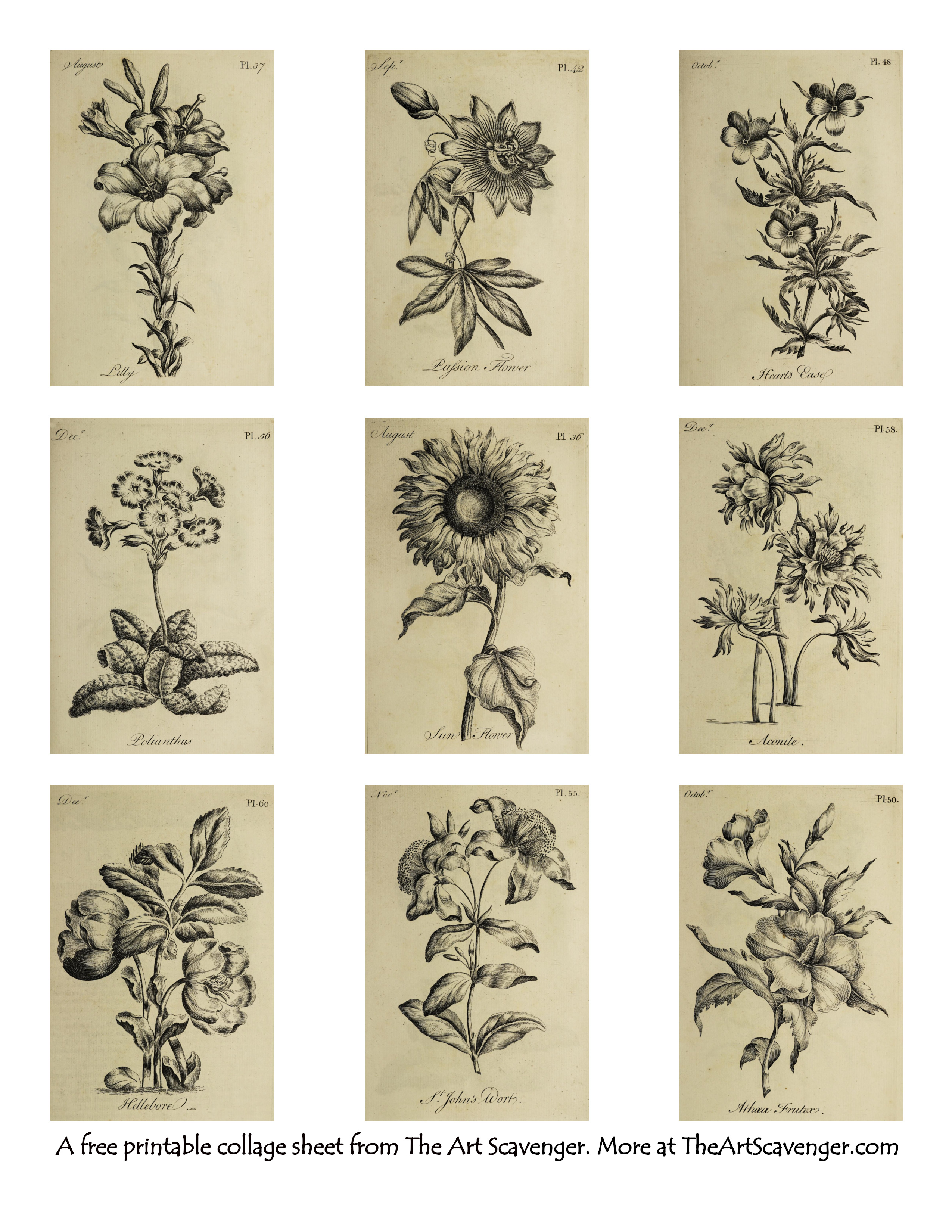 Free vintage adult coloring book collage sheet printables â the art scavenger