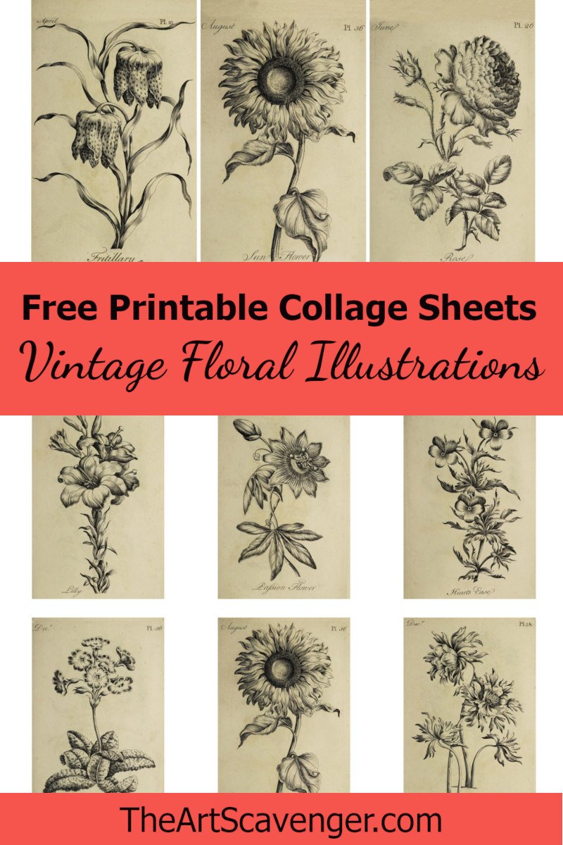 Free vintage adult coloring book collage sheet printables â the art scavenger