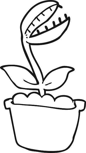Black and white cartoon venus fly trap stock illustration