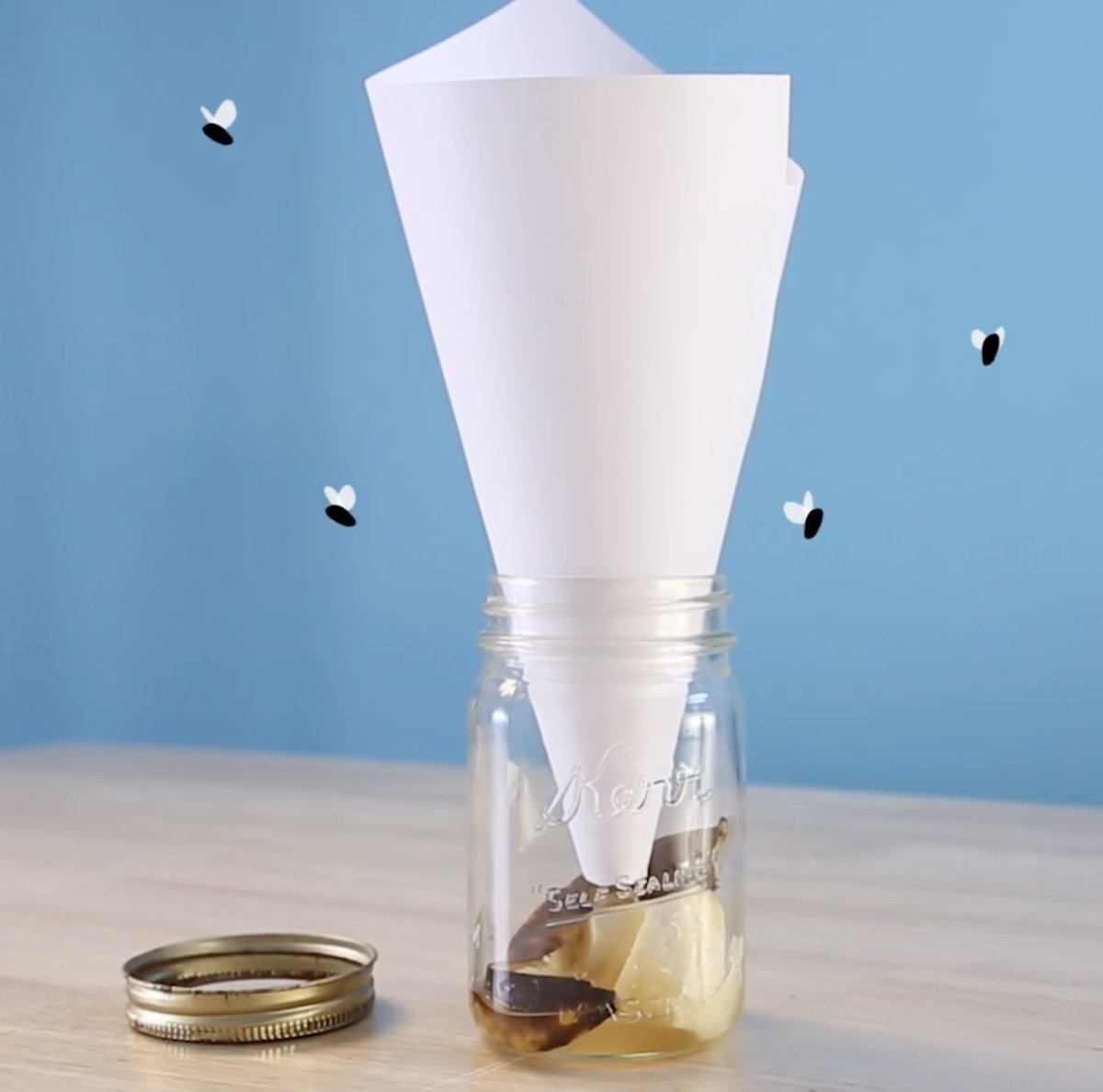 How to get rid of fruit flies