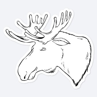 Page hunting coloring images