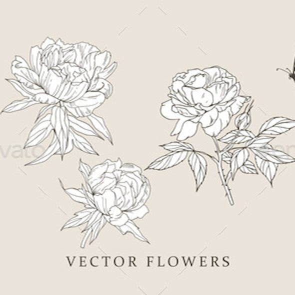 Iris art graphics designs templates from