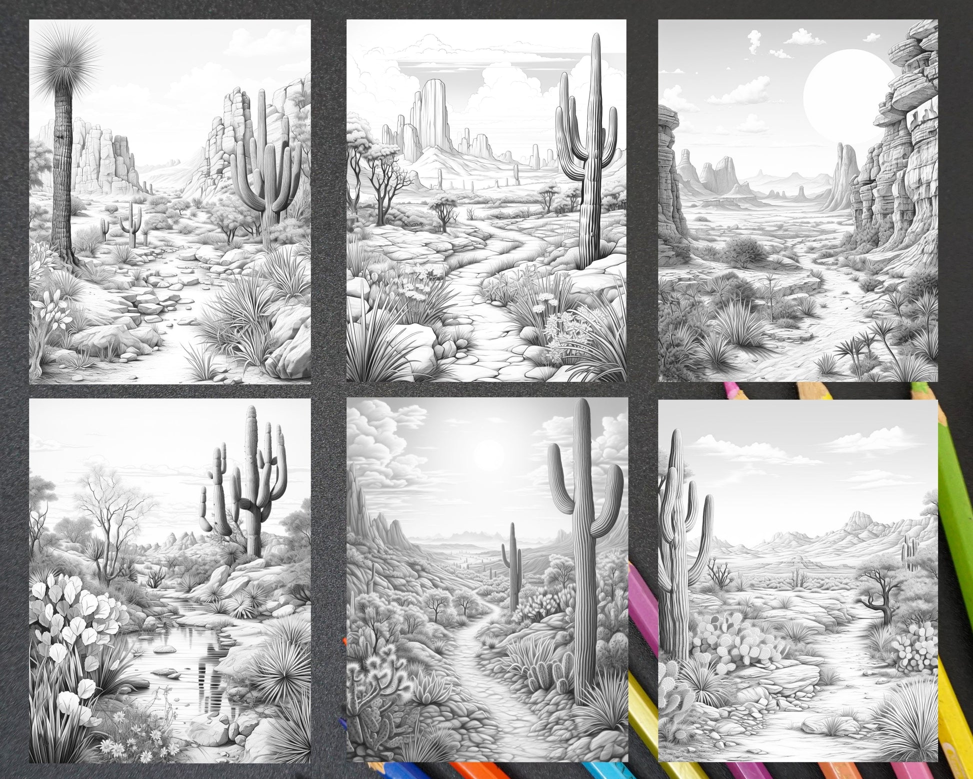Desert landscapes grayscale coloring pages printable for adults pd â coloring