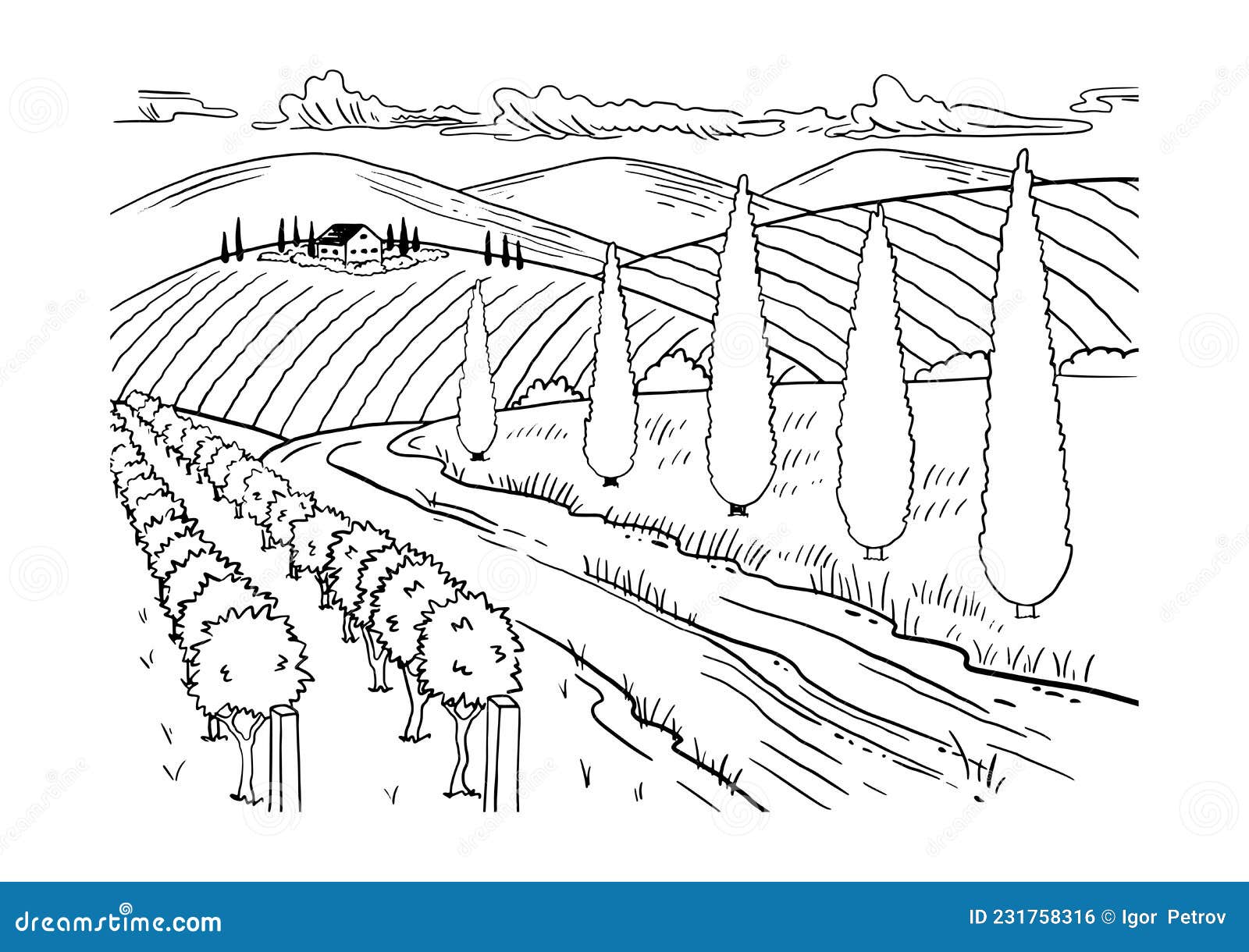 Coloring page rural landscape grape fields cypress trees hand drawn sketch vintage style stock vector