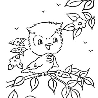 Coloring pages archives