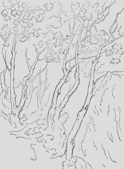 Vintage coloring pages