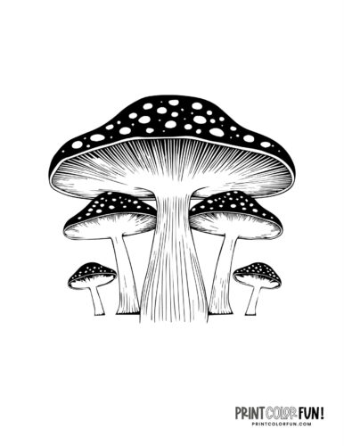 Mushroom coloring pages crafts fun fungus facts to share with your kids at