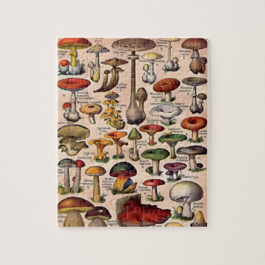 Vintage mushroom guide jigsaw puzzle zazzle vintage mushroom mushroom guide jigsaw puzzles
