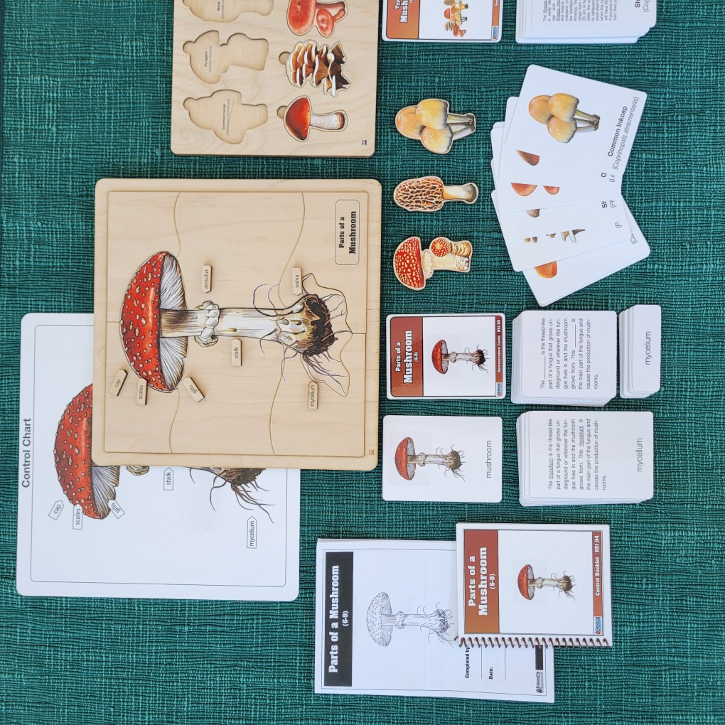Montessori materials parts of a mushroom puzzle with nomenclature cards