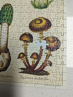 Cavallini co piece vintage puzzle mushrooms pzlmush toys games
