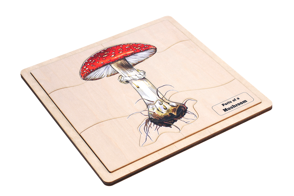 Montessori materials parts of a mushroom puzzle