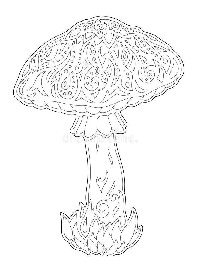 Adult coloring mushroom stock illustrations â adult coloring mushroom stock illustrations vectors clipart