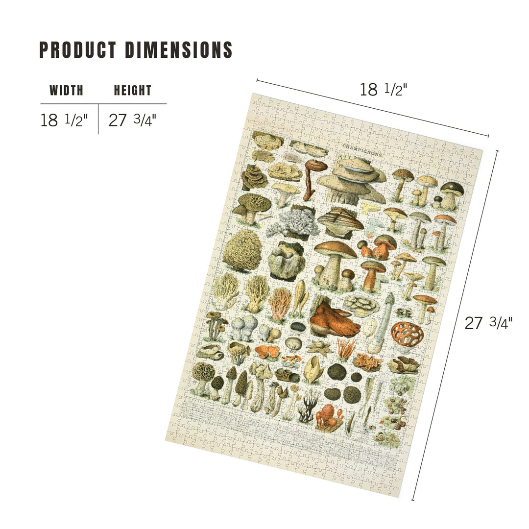 Mushrooms a vintage bookplate adolphe millot artwork piece jigsaw puzzle â lantern press