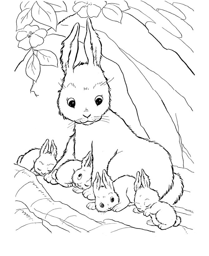 Free printable rabbit coloring pages for kids bunny coloring pages farm animal coloring pages animal coloring pages