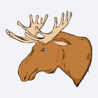 Page reindeer coloring pages free printable images