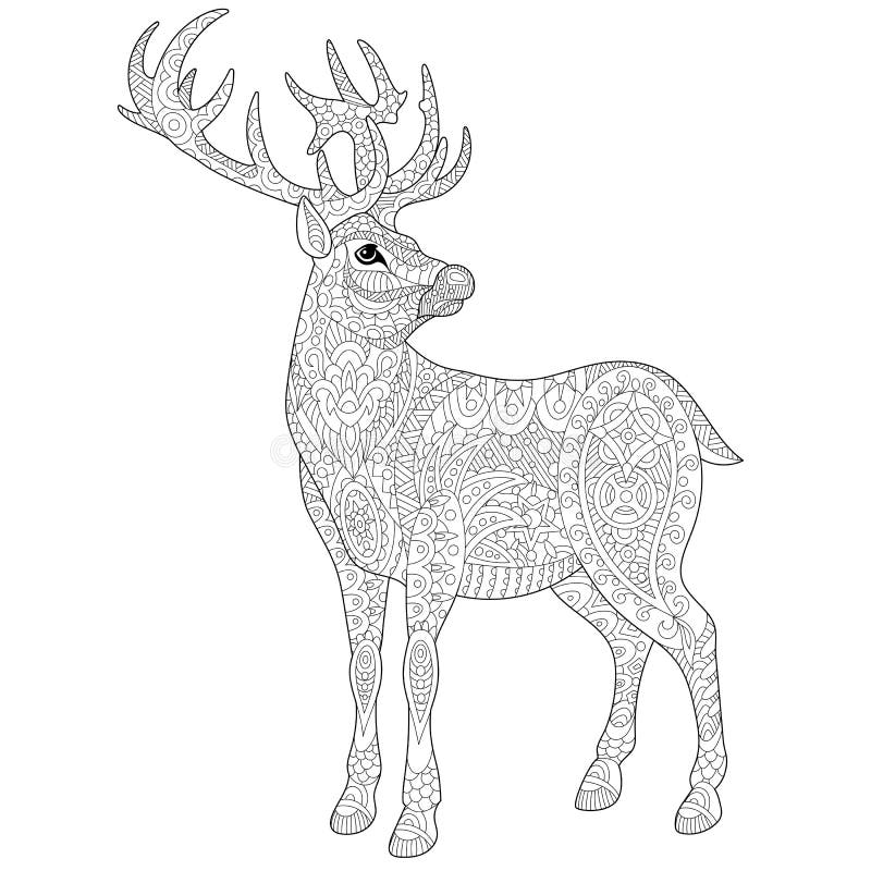 Zentangle deer reindeer coloring page stock vector