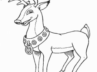 Best christmas reindeer coloring pages for kids