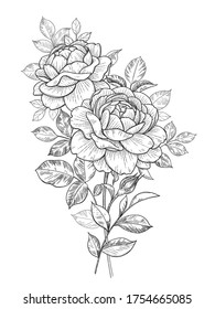 Rose coloring page images stock photos d objects vectors