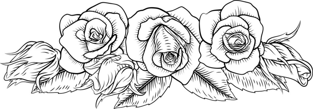 Rose color pages images â browse photos vectors and video