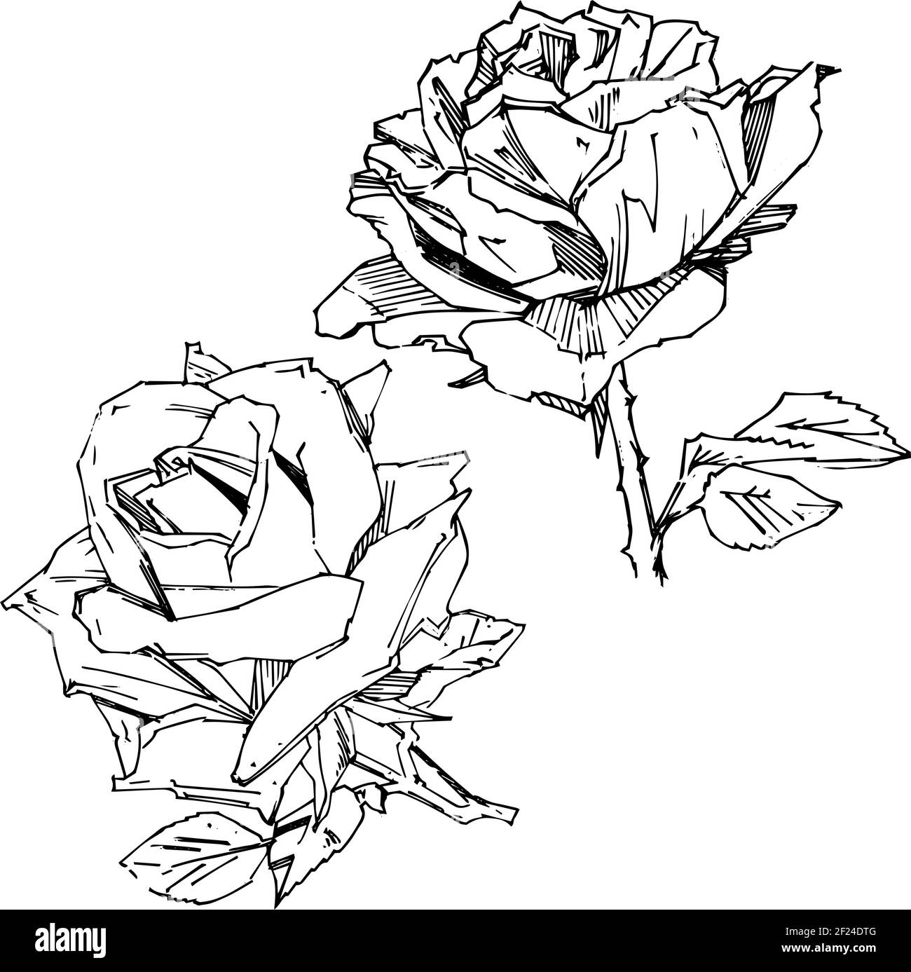 Hand drawn rose vector illustration vintage tattoo style rose flower motif sketch for design stock vector image art