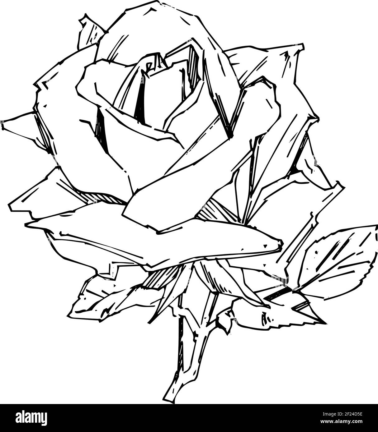 Hand drawn rose vector illustration vintage tattoo style rose flower motif sketch for design stock vector image art