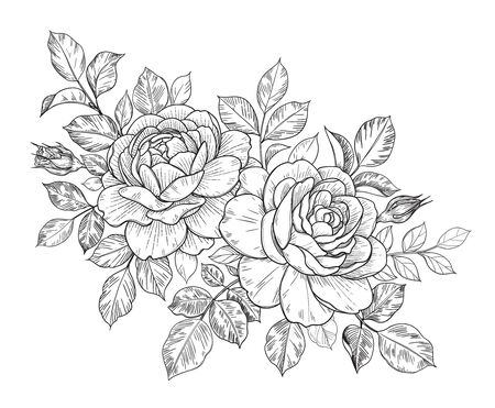 Roses coloring pages cliparts stock vector and royalty free roses coloring pages illustrations