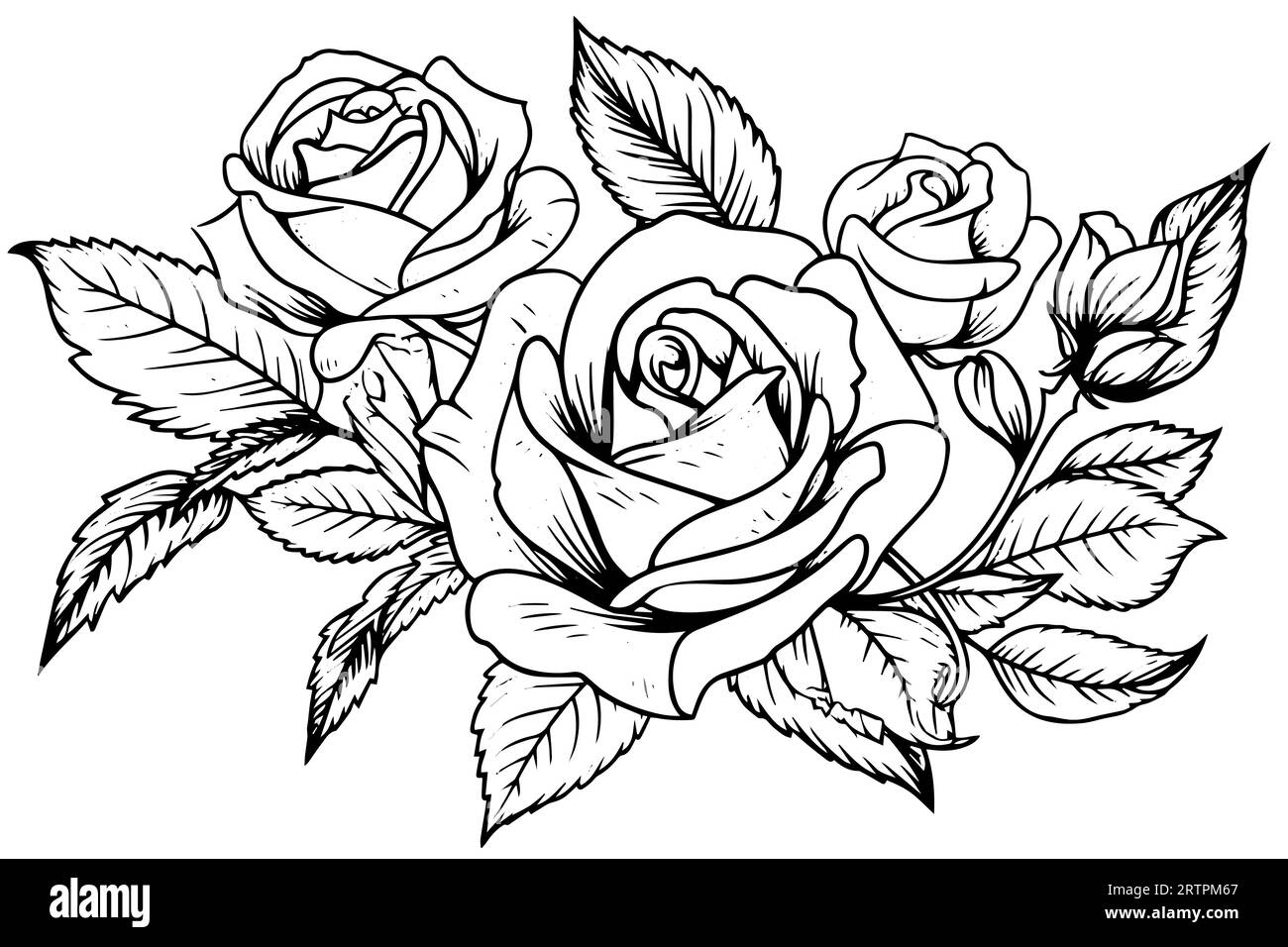 Vintage rose flower engraving calligraphic victorian style tattoo vector illustration stock vector image art