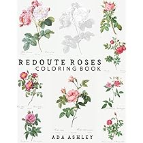 Redoute roses coloring book realistic rose coloring book for adults with beautiful vintage redoute flowers in graysle ashley ada redoutã pierre