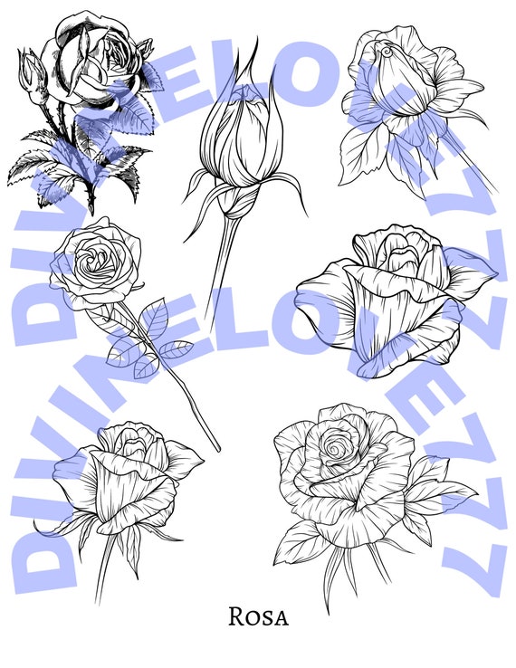 Rose coloring page pdf vintage stress relief brain