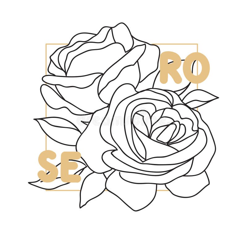 Decorative english garden vintage rose with text female summer print t