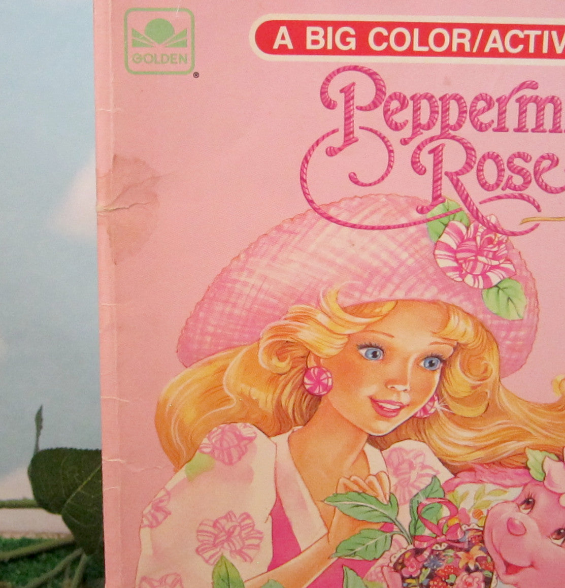 Peppermint rose coloring book vintage color activity pages brown eyed rose