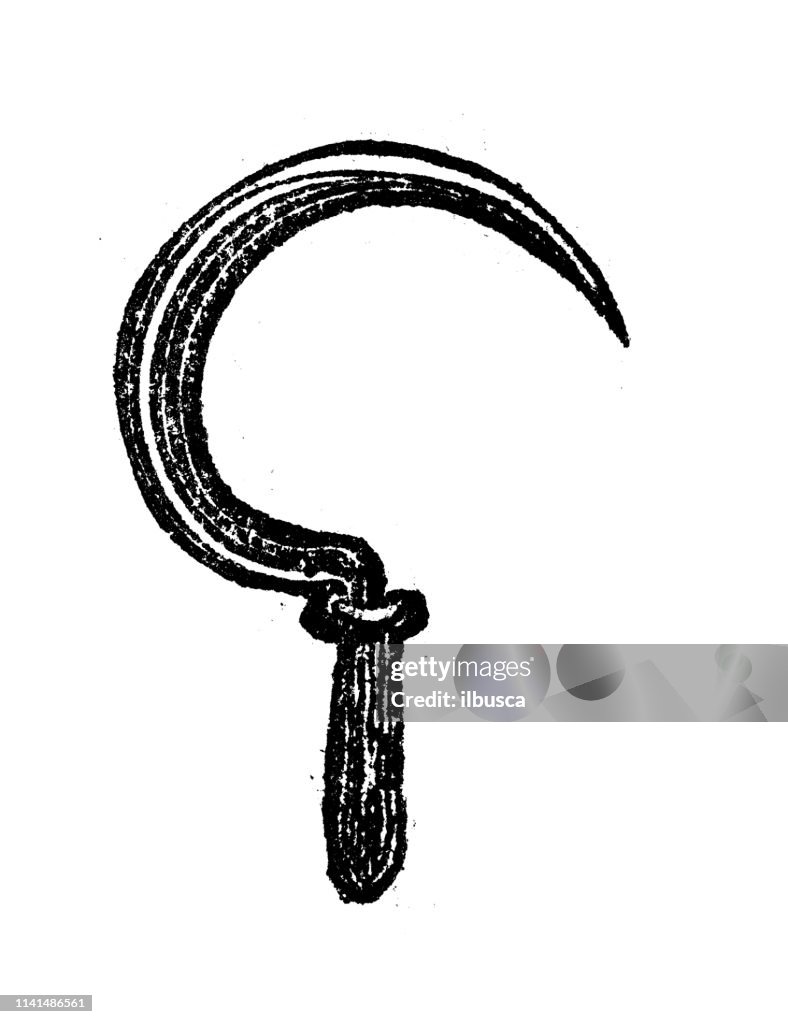 Antique illustration of sickle high