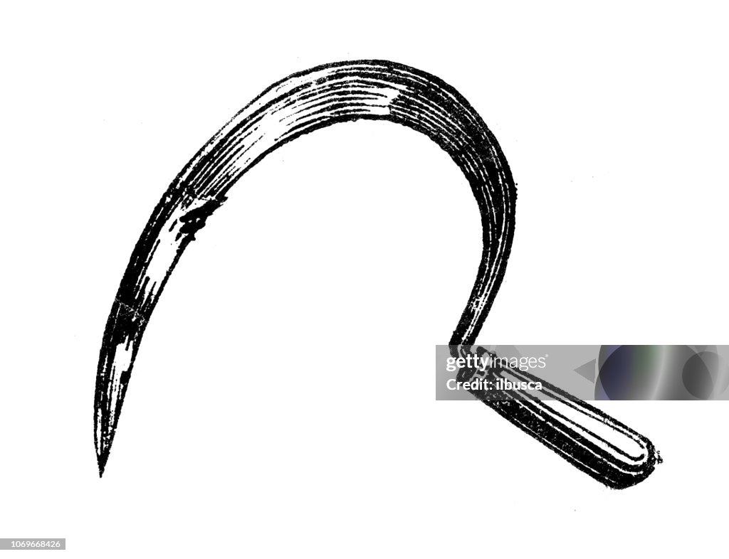 Antique engraving illustration sickle high