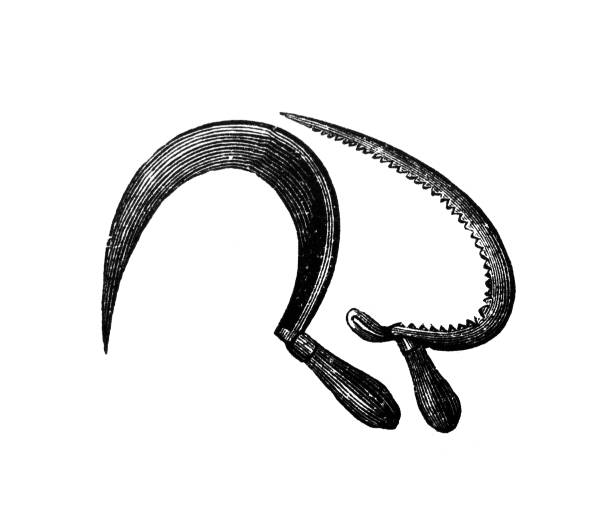 Sickle drawing stock photos pictures royalty