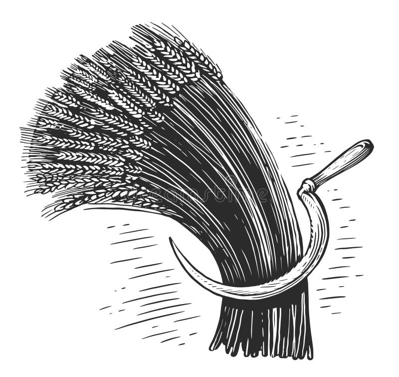Vintage sickle stock illustrations â vintage sickle stock illustrations vectors clipart