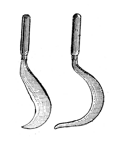 Sickle drawings stock illustrations royalty