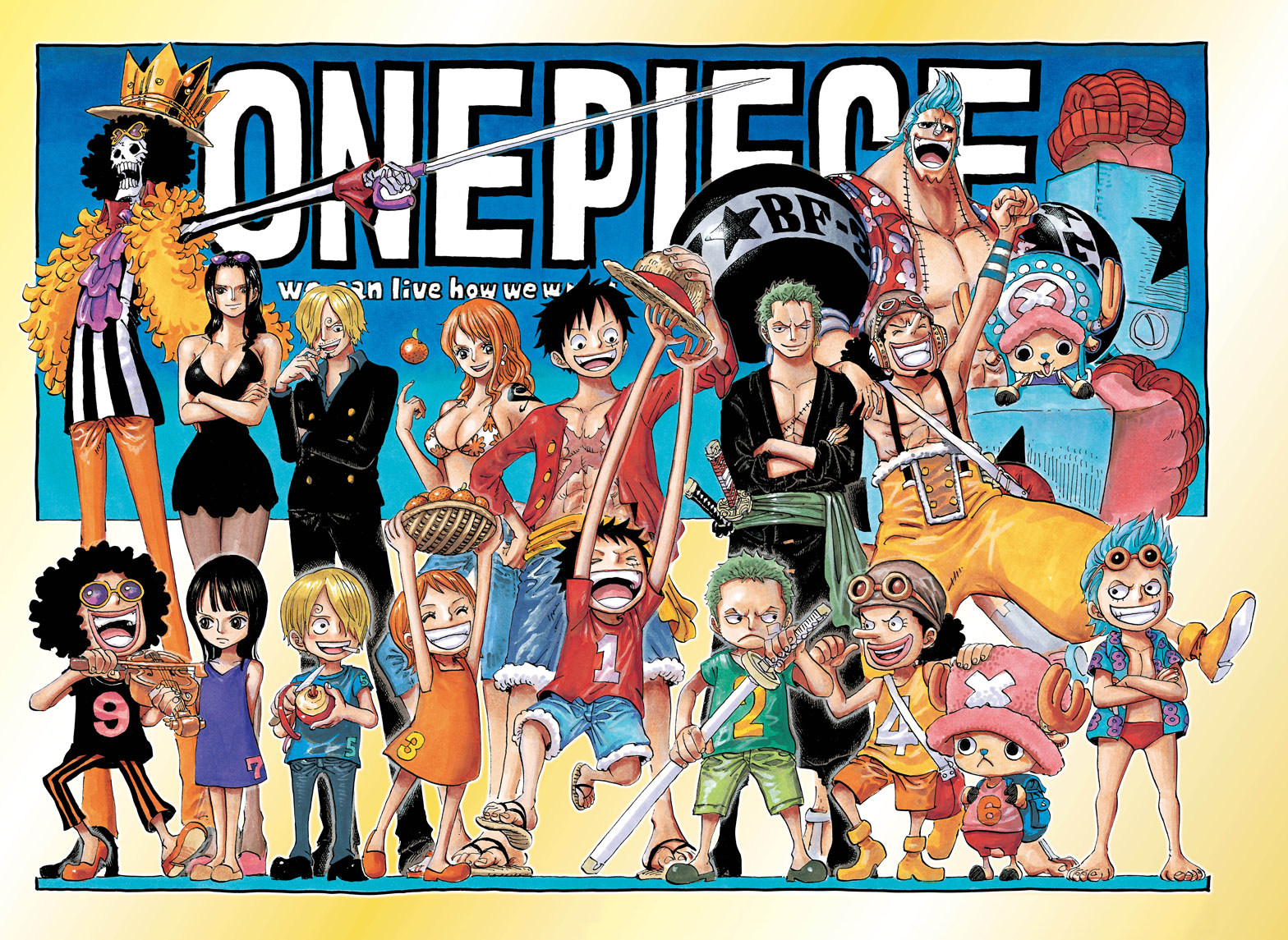 Straw hat piratesmiscellaneous one piece wiki