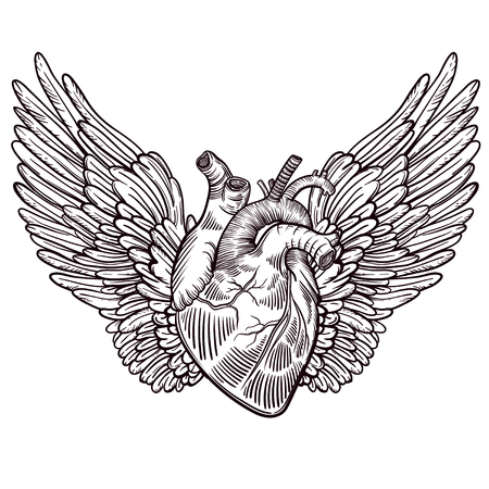 Line art illustration of angel wings and heart vintage print for st valentine s day sketch for tattoo hipster t