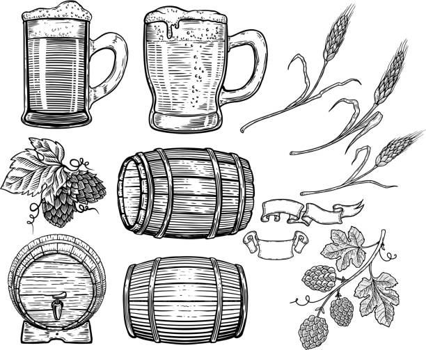 Set of hand drawn beer design elements hop wheat wood barrels beer mugs design element for poster card menu emblem badge stock illustration