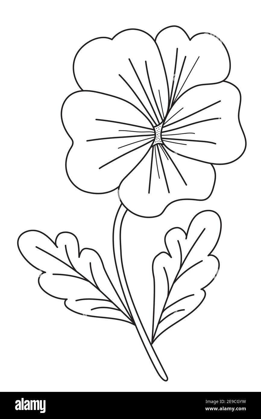 Spring flower