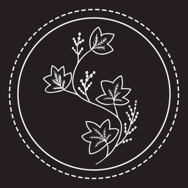 Gentiana lutea stock illustrations royalty