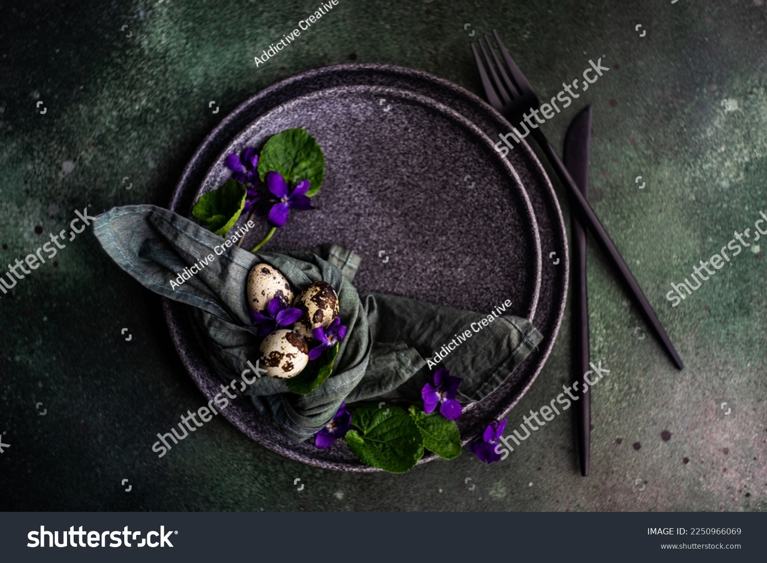 Viola images stock photos d objects vectors