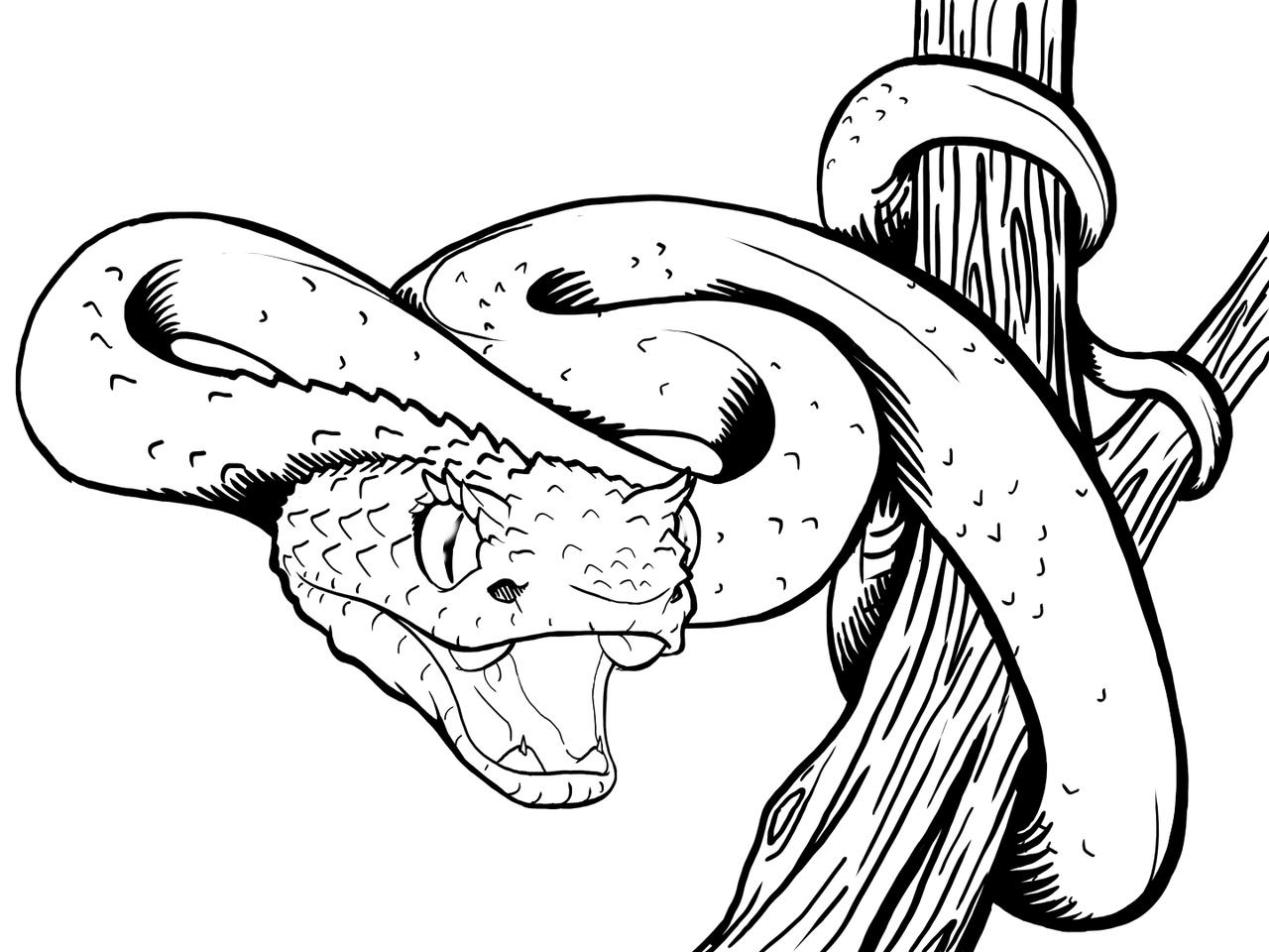 Eyelash viper by bdillustrations on