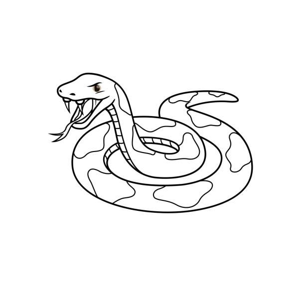 Vector illustration of viper isolated on white background for kids coloring book stock illustration