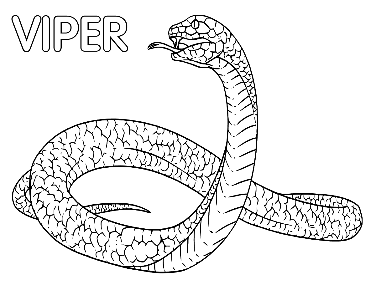 Viper coloring pages coloring pages to download and print